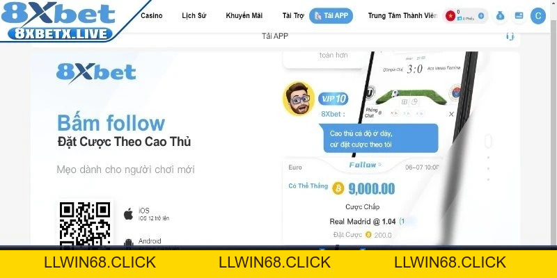 8Xbet - Website Nhà Cái Cá Cược Ấn Tượng Cộng Đồng Bet Thủ - LLWIN68