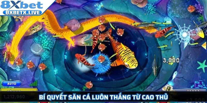 Bắn Cá Long Vương Bí Mật Săn Thưởng Kinh Nghiệm Từ Cao Thủ - LLWIN68