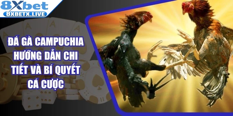 Đá Gà Campuchia Hướng Dẫn Chi Tiết Và Bí Quyết Cá Cược - LLWIN68