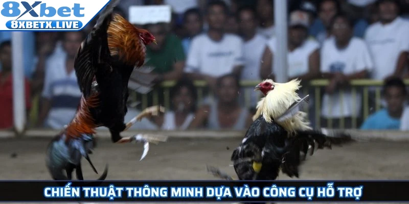Đá Gà Cựa Dao 8Xbet Kịch Tính Và Cơ Hội Làm Giàu Hấp Dẫn - LLWIN68
