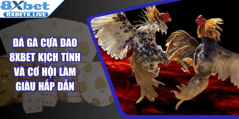 Đá Gà Cựa Dao 8Xbet Kịch Tính Và Cơ Hội Làm Giàu Hấp Dẫn - LLWIN68