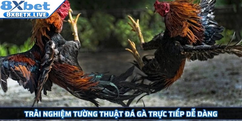 Tường Thuật Đá Gà Trực Tiếp Trải Nghiệm Cá Cược Đỉnh Cao - LLWIN68