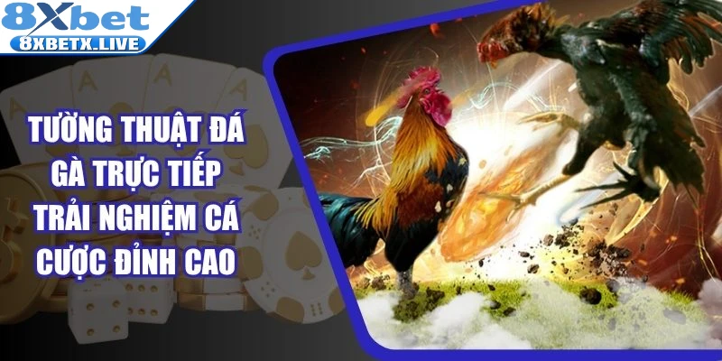 Tường Thuật Đá Gà Trực Tiếp Trải Nghiệm Cá Cược Đỉnh Cao - LLWIN68